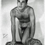 Don Kammien