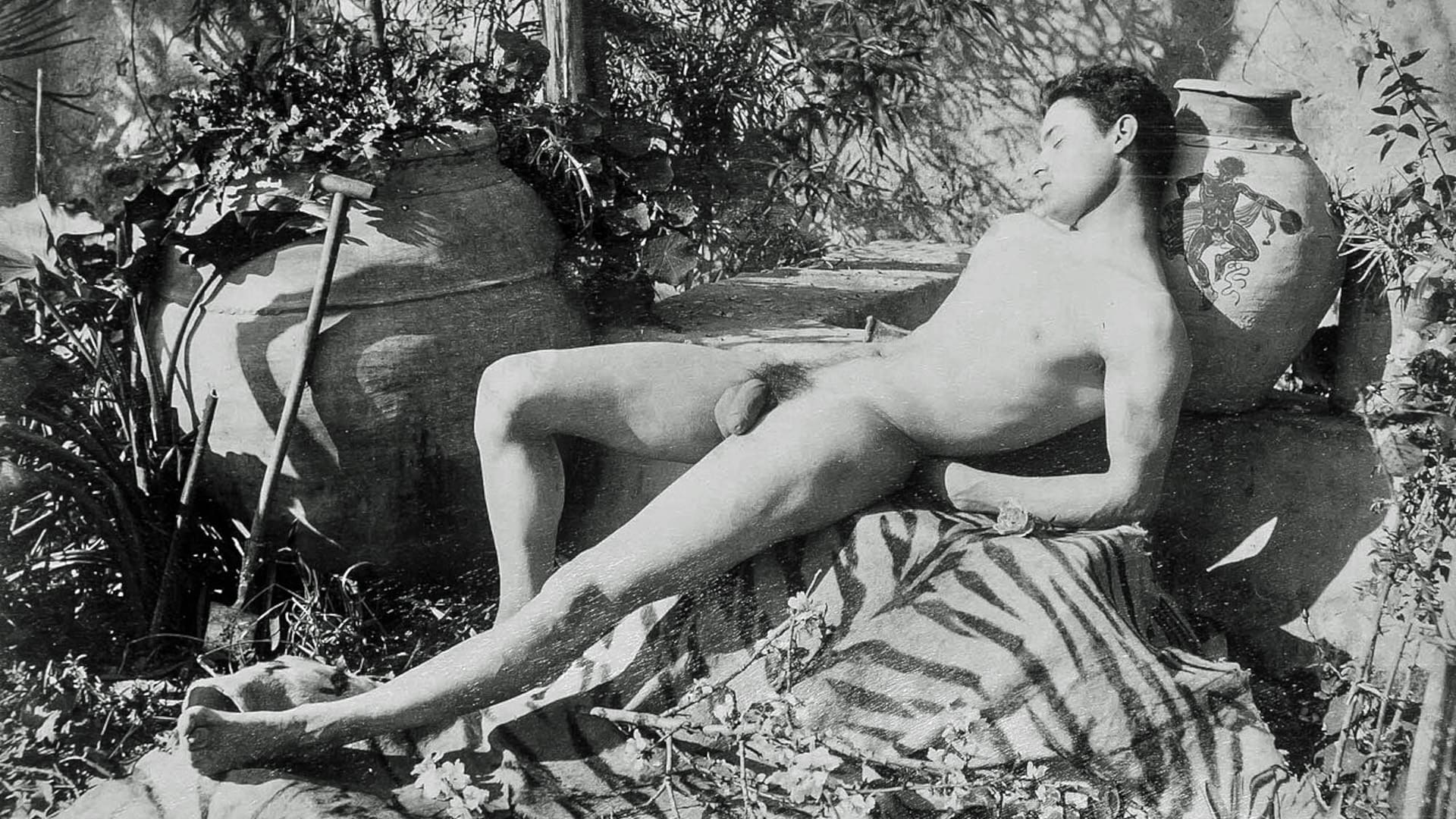 Vintage Male Erotica