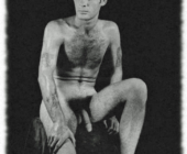 Freddie Shileds Freddie Shileds