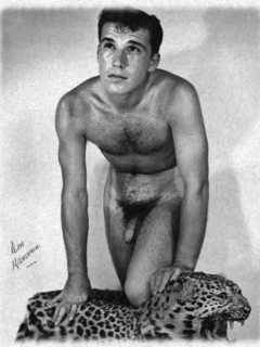 Don Kammien